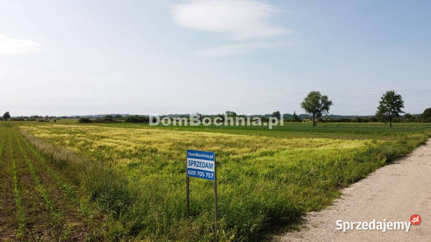 Działka Strzelce Wielkie 3188m2 15.5m