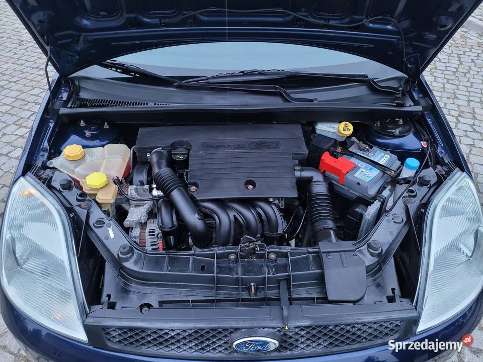 Fiesta 5 drzwi Benzyna 179000km Fiesta Lipniki