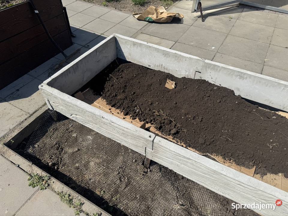 Deska betonowa na warzywniak grządki podwyższone Wierzbica sprzedam