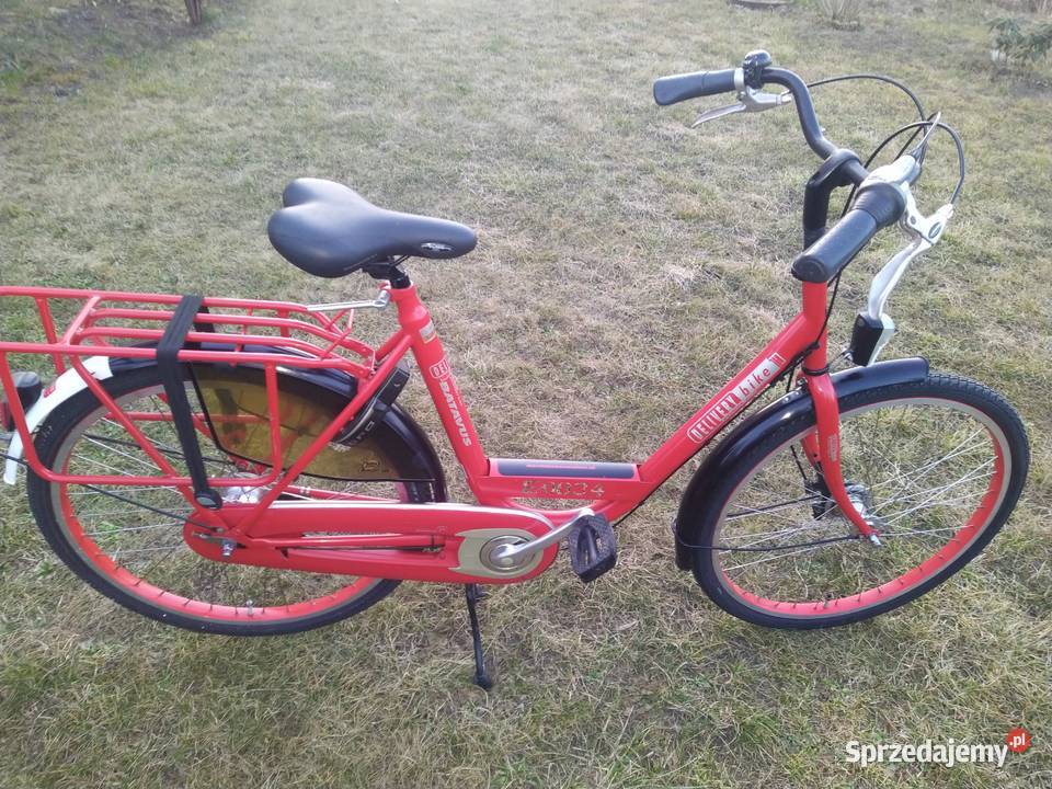Rower damka Batavus Delivery Bike 26 Nexus 7 Miejskie Słupca sprzedam
