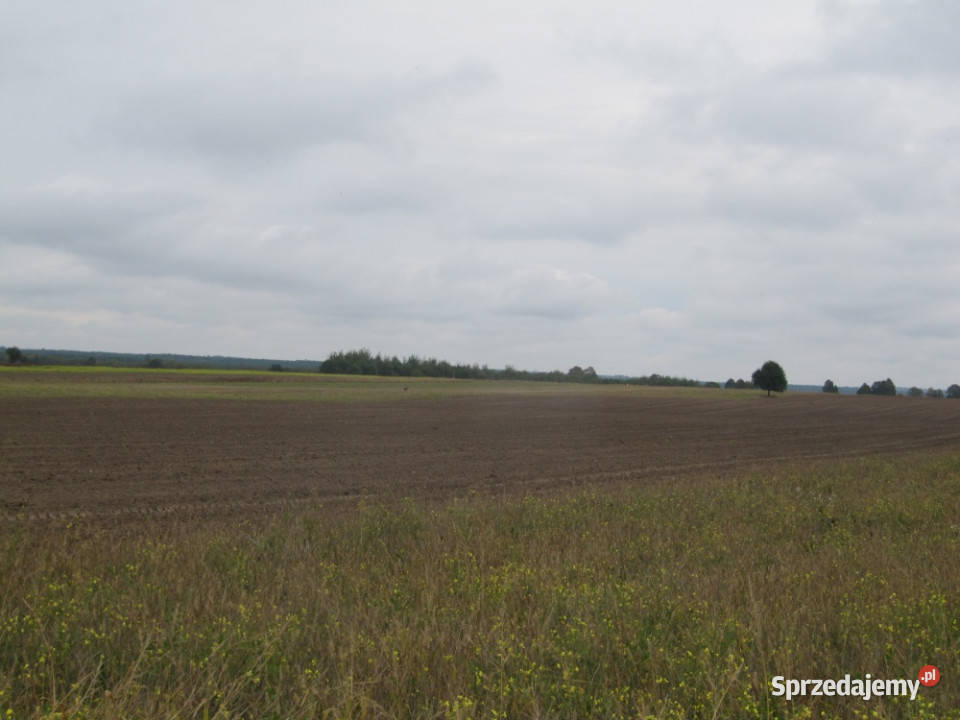 Działka budowlana Parczów