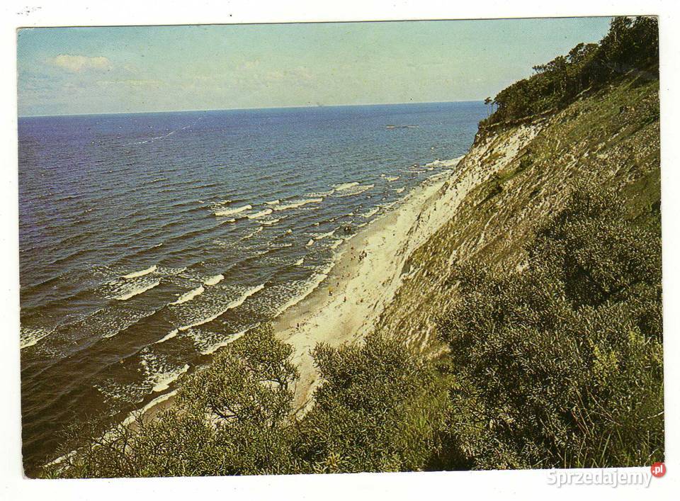 WOLIŃSKI PARK NORODOWY 1 POCZTÓWKA Pocztówki i karty telefoniczne Krynki