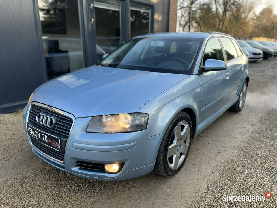 Audi A3 Sportback 20 Climatronic Alu 6biegów Ks 1968cm3 A3 Częstochowa
