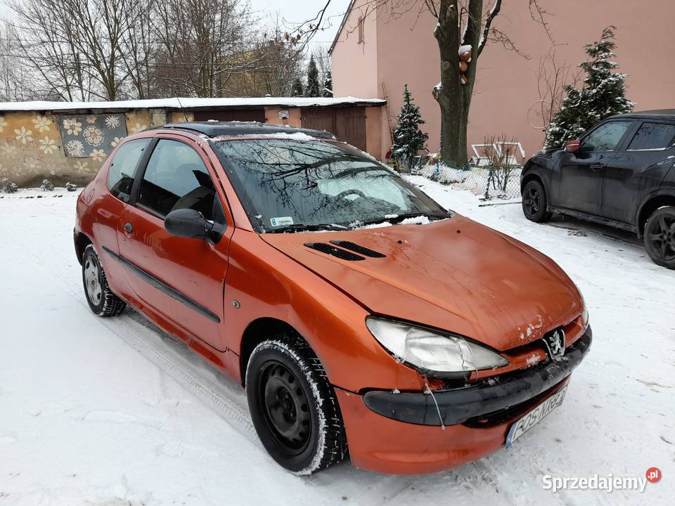 Peugeot 206 11 Benzyna 1999 panorama
