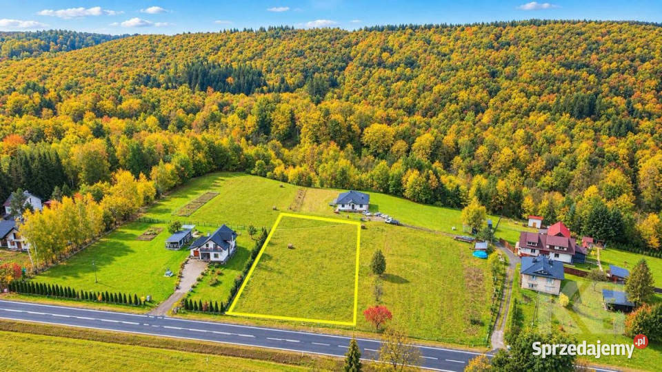 Działka Wujskie 3000m