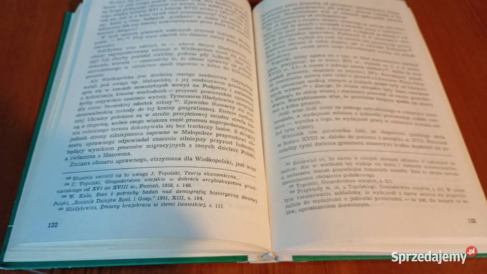 Teoria ekonomiczna ustroju feudalnego Witold sprzedam