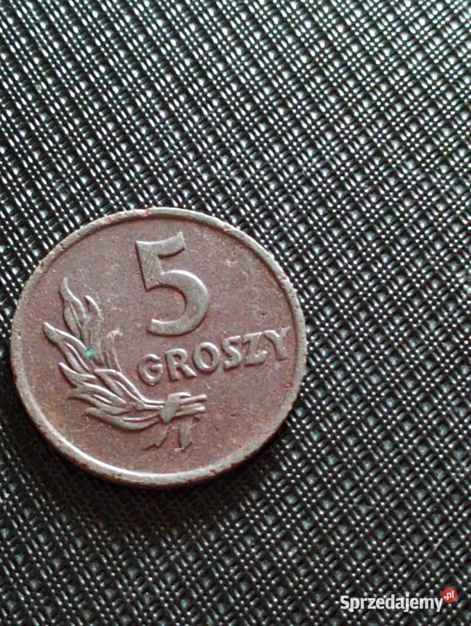 Sprzedam braz 5 gr 1949 r bzm lubelskie Chełm
