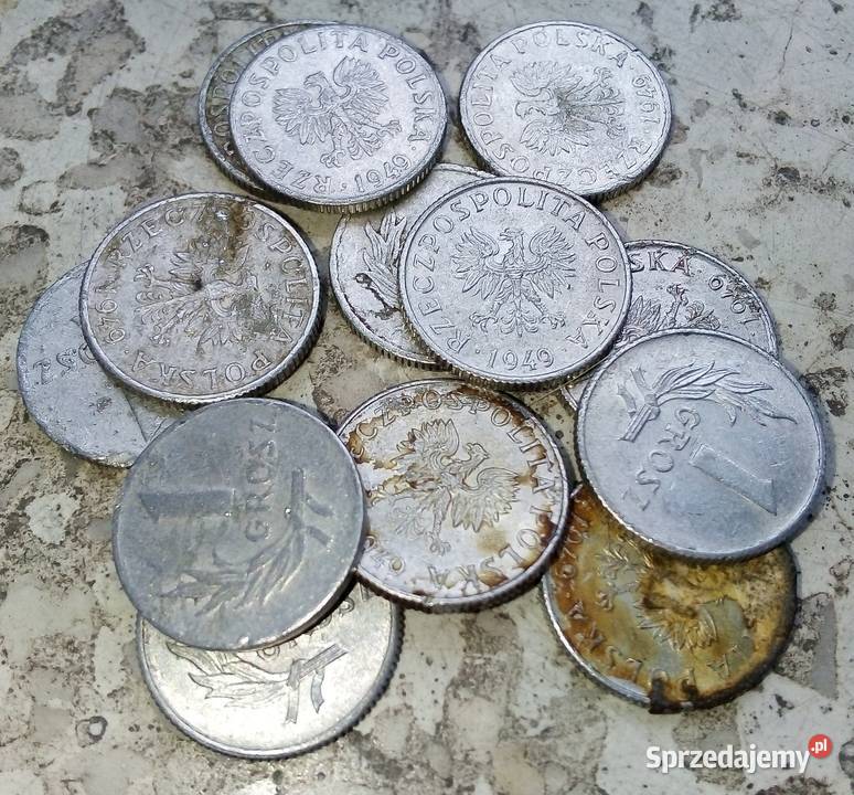 POLSKA 1 GROSZ 1949 rALbz12 SZTUK Legionowo sprzedam