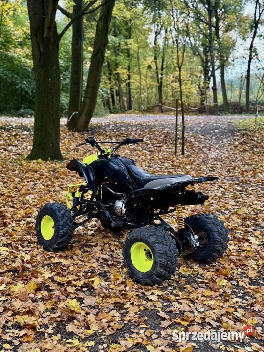 Quad Bashan 200 Loncin barrosa gruz 250 opolskie