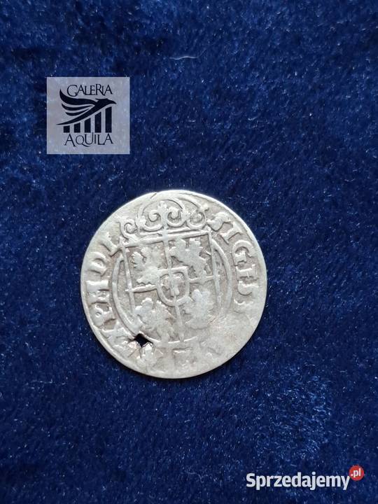 1 Półtorak Zygmunt III Waza Bydgoszcz 1627 Wejherowo