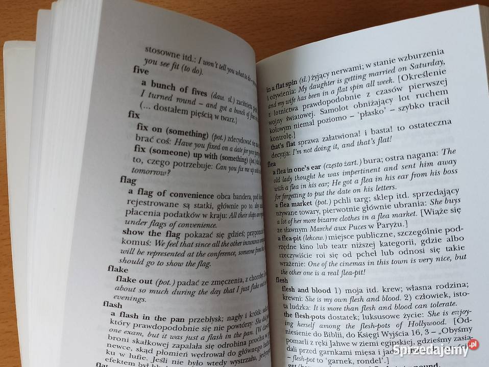 SŁOWNIK idiomów angielskich Philip Wilson ISBN 8372360081 Złotniki