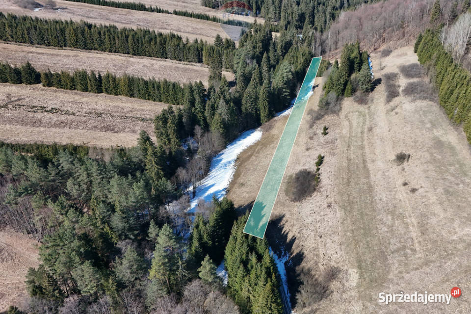 Działka w pięknym miejscu 10m Sprzedaż małopolskie Dursztyn