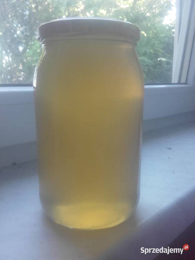 Miód wiosenny Lublin