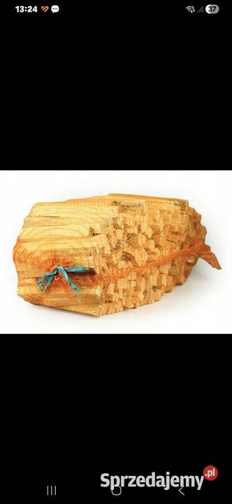 Rozpałka sosnowa Goleniów