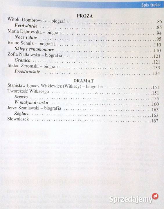 Mega Bryk Język polski 6 Dwudziestolecie Chełm