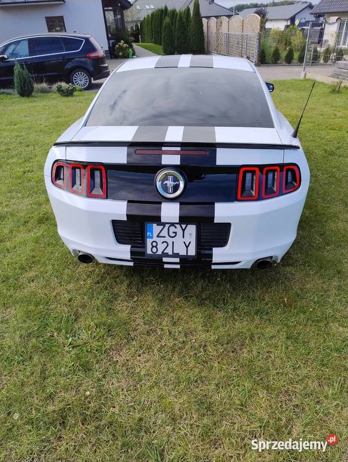 Ford Mustang 2014r 37l 111500km Gryfice sprzedam