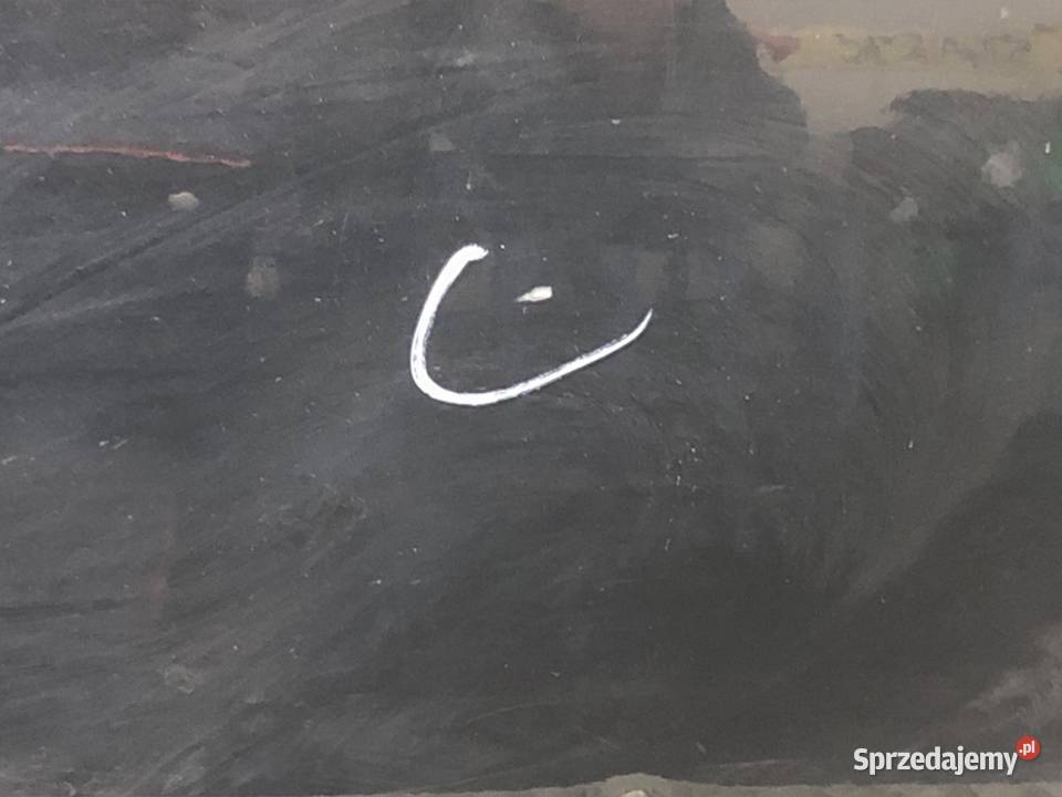 DRZWI LEWY TYŁ KIA SPORTAGE II SUV osobowe