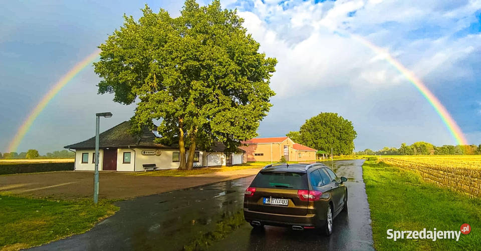 Citron C5 X7 30 V6 HDi Criollo C5 mazowieckie Grójec