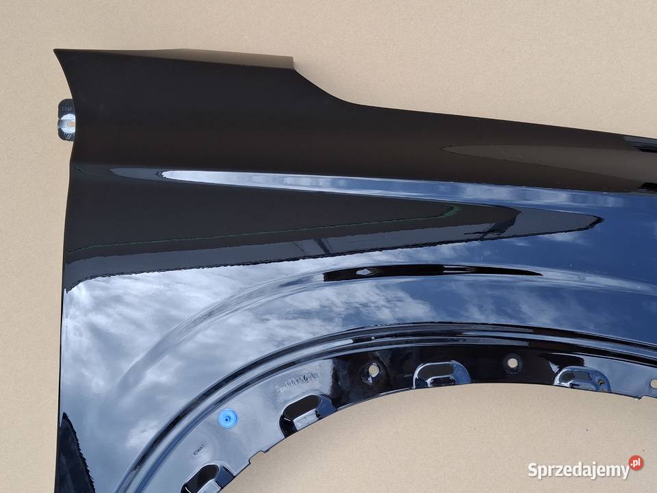 RENAULT AUSTRAL BŁOTNIK PRAWY PRZÓD PRZEDNI Bieleń