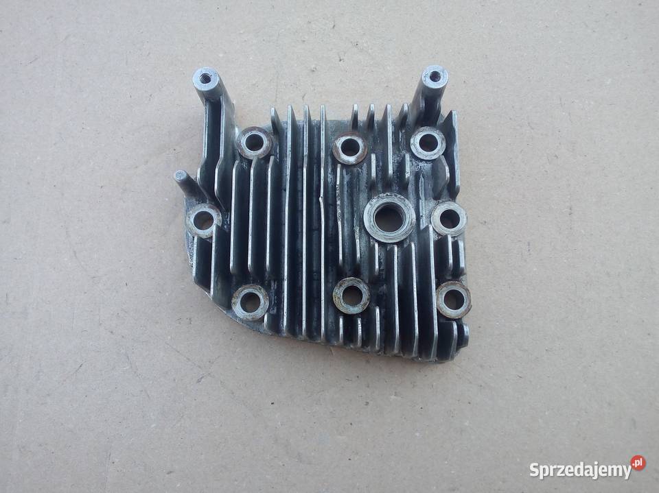 Głowica Kosiarki Tecumseh 30 hp Stalowa Wola