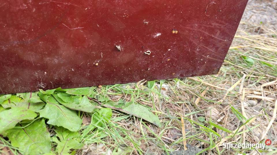 Drzwi Skoda Felicia Drzwi Łagów