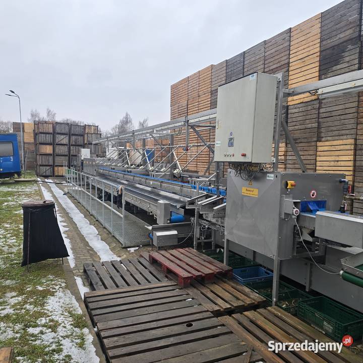 Linia do segregacji i mycia warzyw cebuli itd Nysa