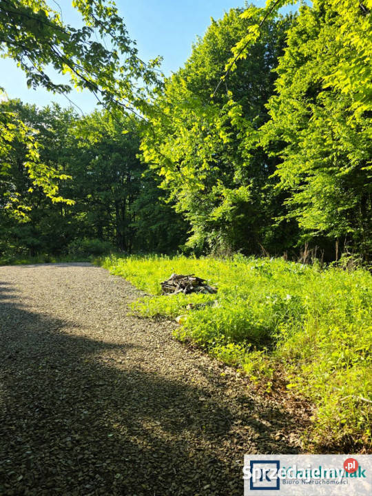 Działka 8242m2 Płowce Sprzedaż