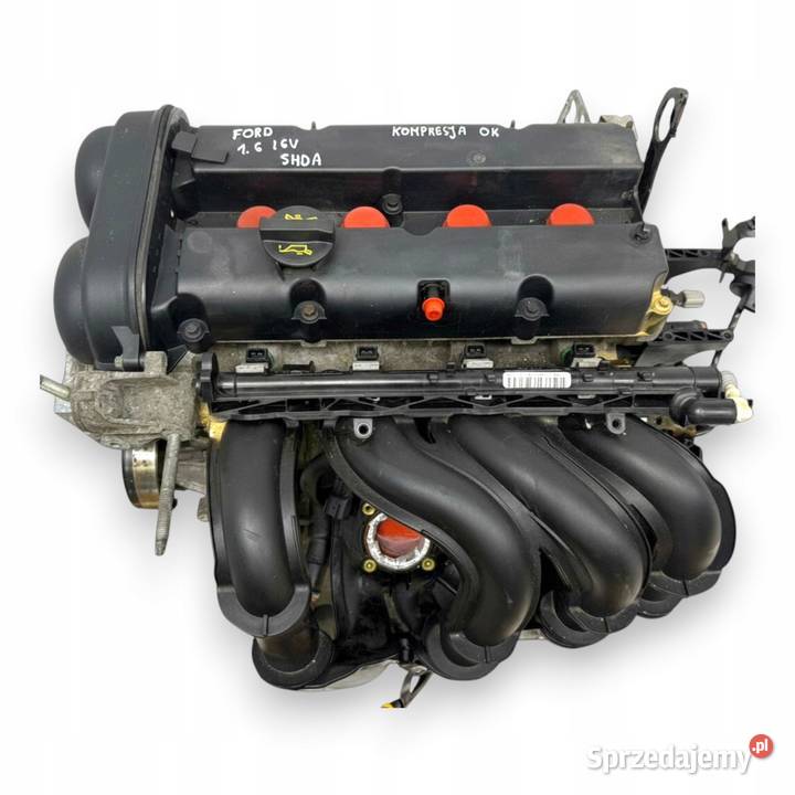 SILNIK SHDA Ford Focus II MK2 C C 16 16V 100 Chełm