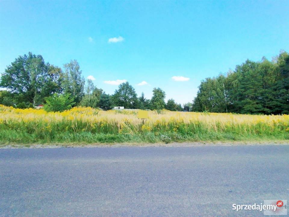 Do sprzedaży działka 2366m Kalonka łódzkie
