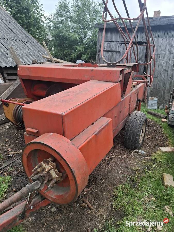 Sprzedam prase z 224 łódzkie Osiny