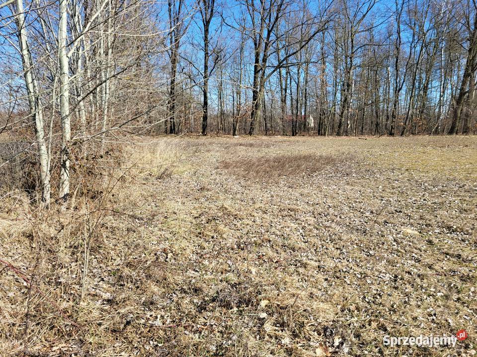 Działka budowlana 5400 m2 7 Gmina Konopnica wieś Wrońsko