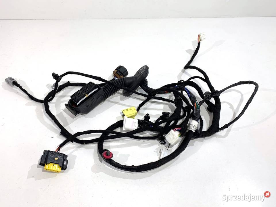 WIĄZKA DRZWI PRZÓD LEWY HYUNDAI KONA SX2 sprzedam