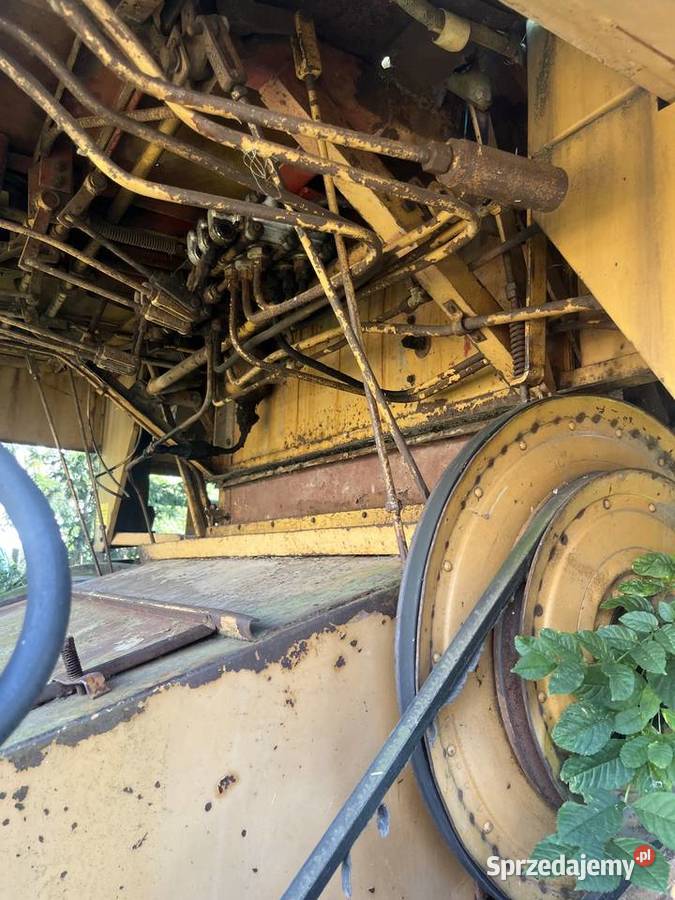 Kombajn Bizon Z056 super z sieczkarnią Bizon Oleszna