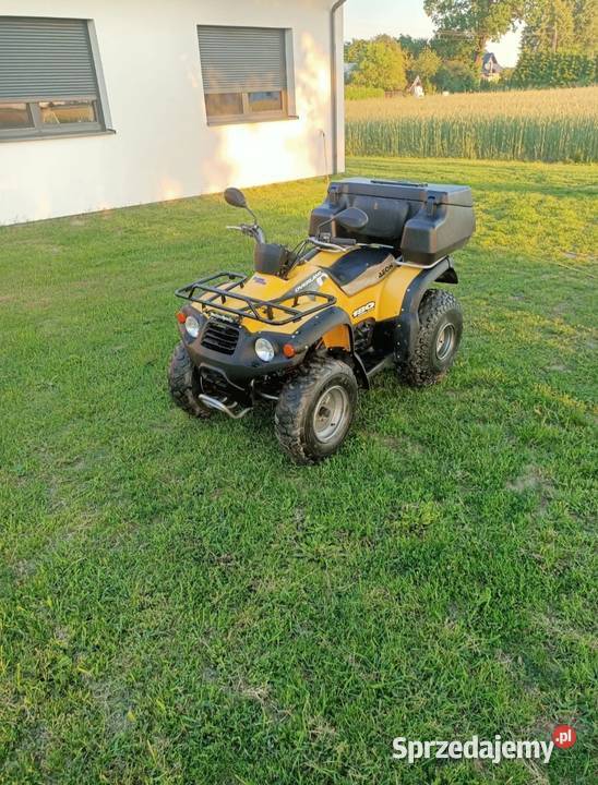 Sprzedam quada aeon overland 180 pług Aeon Motoryzacja sprzedam