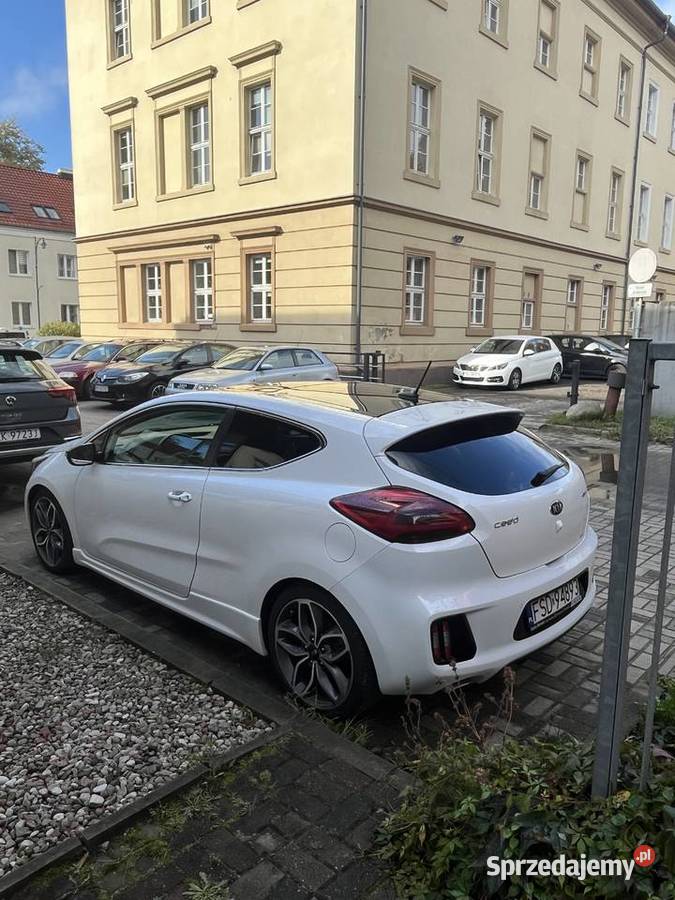 Kia Ceed GT 2016 16 TGDI 204 Koszalin
