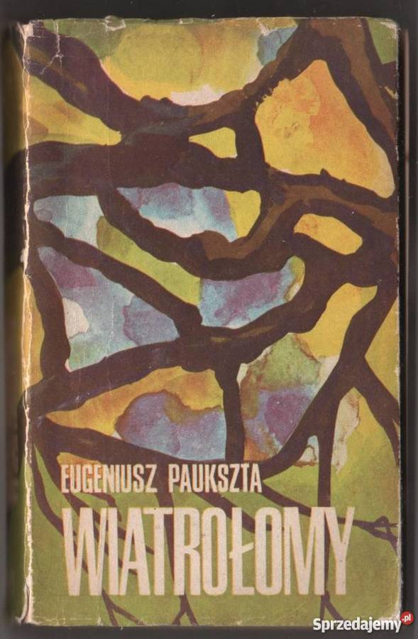 WIATROŁOMY PAUKSZTA E Olsztyn