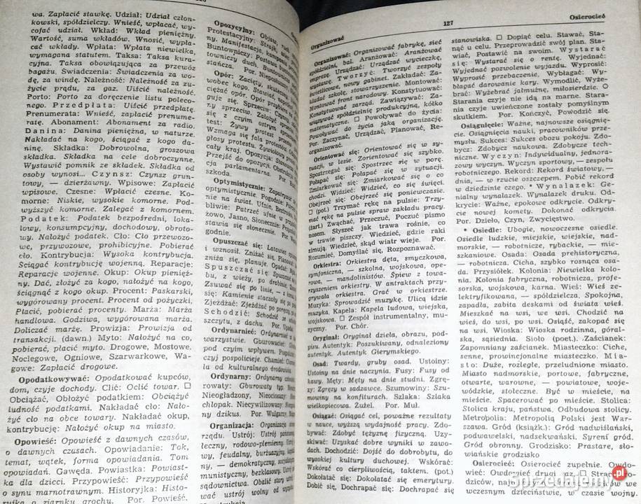 Słownik wyrazów bliskoznacznych Stanisław lubelskie Chełm