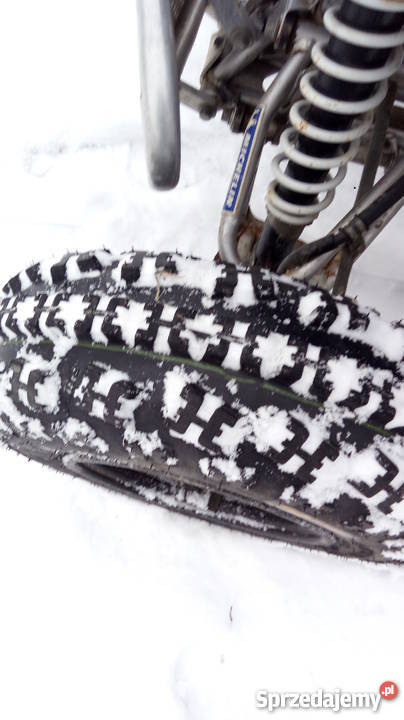 Yamaha Raptor 250 Konina