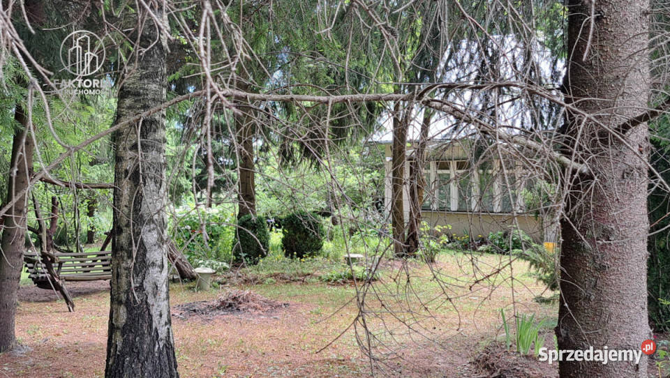 Działka 16000m2 Sobolewo Baranowicka asfalt