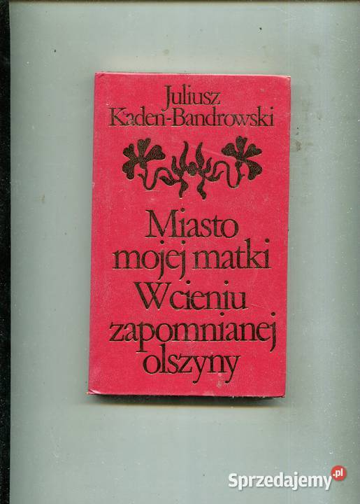 Miasto mojej matki W cieniu zapomnianej olszyny Szczecin