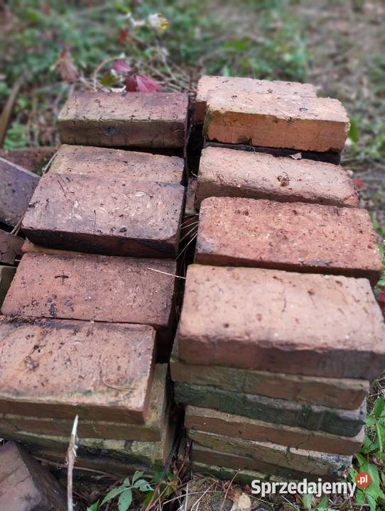 Sprzedam starą 80letnią nieużywaną pełną świętokrzyskie