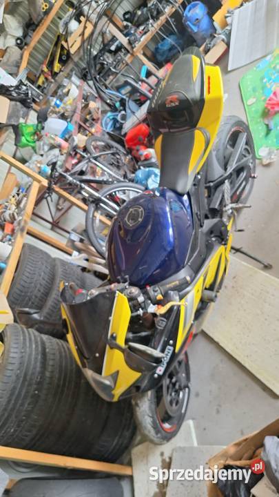 Suzuki gsxr k5 1000 Chełm sprzedam