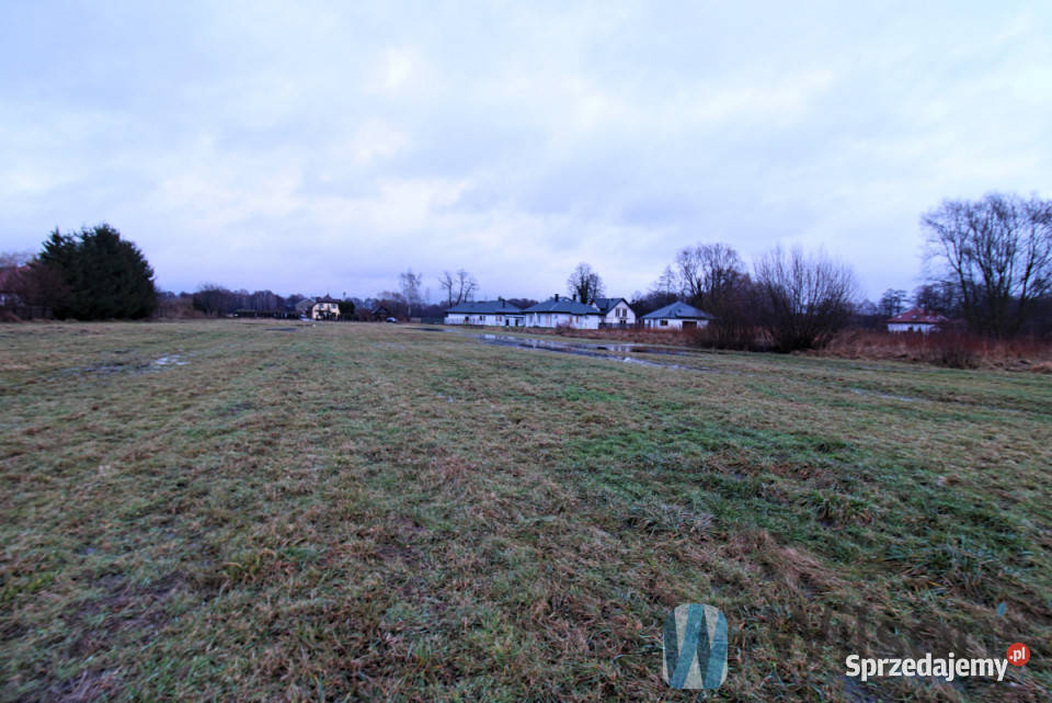 Grunt sprzedam 5150m2 Topórek 100zł/m2