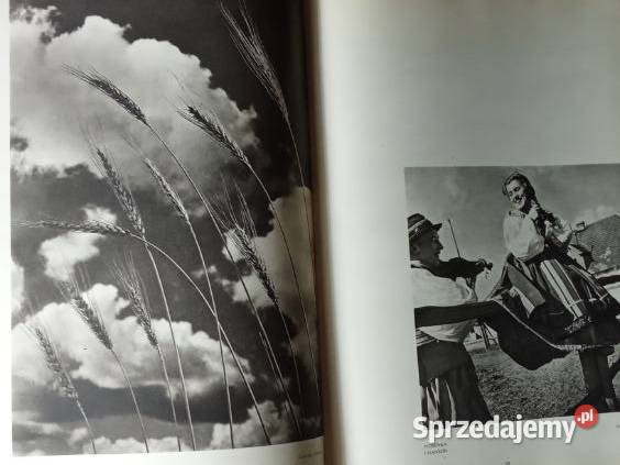 Cztery pory roku les Quatre Saisons Polonia 1955 Łódź