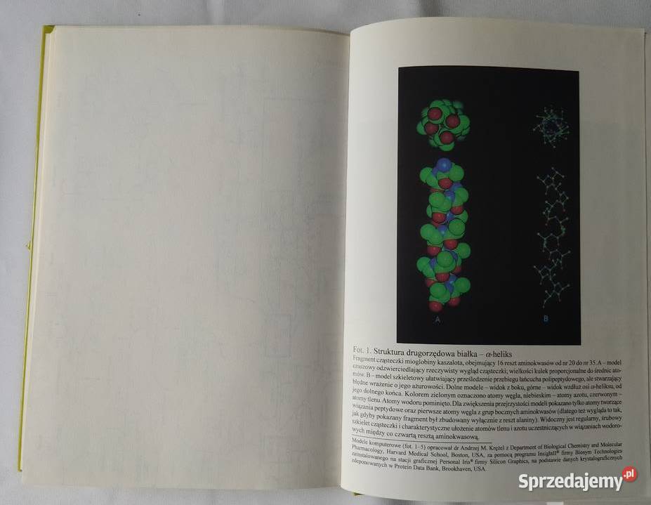 Słownik szkolny BIOCHEMIA Jan Fronk Jakub Ząbek podlaskie
