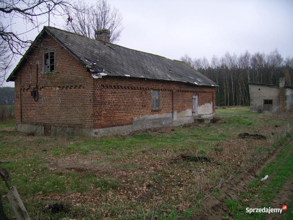 DOMEK POD LASEM Z DZIAŁKĄ120 Warszawy ogródek Sinogóra