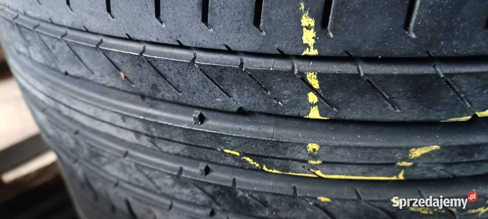 Opony 2055516 turanza mazowieckie Króle Małe