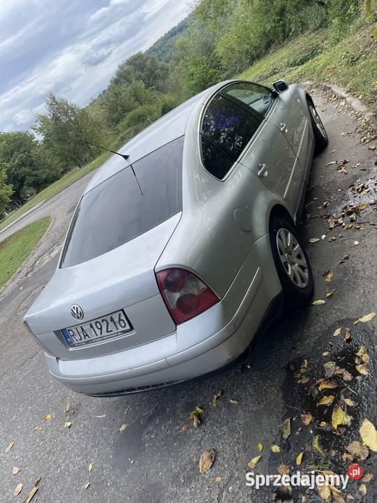 Vw passat b5 19 130 2001