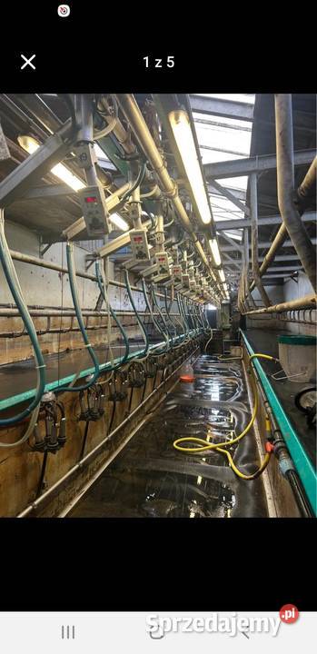 Hala Udojowa Gea 2x20 2x12 2x10 Westfalia Czyżew