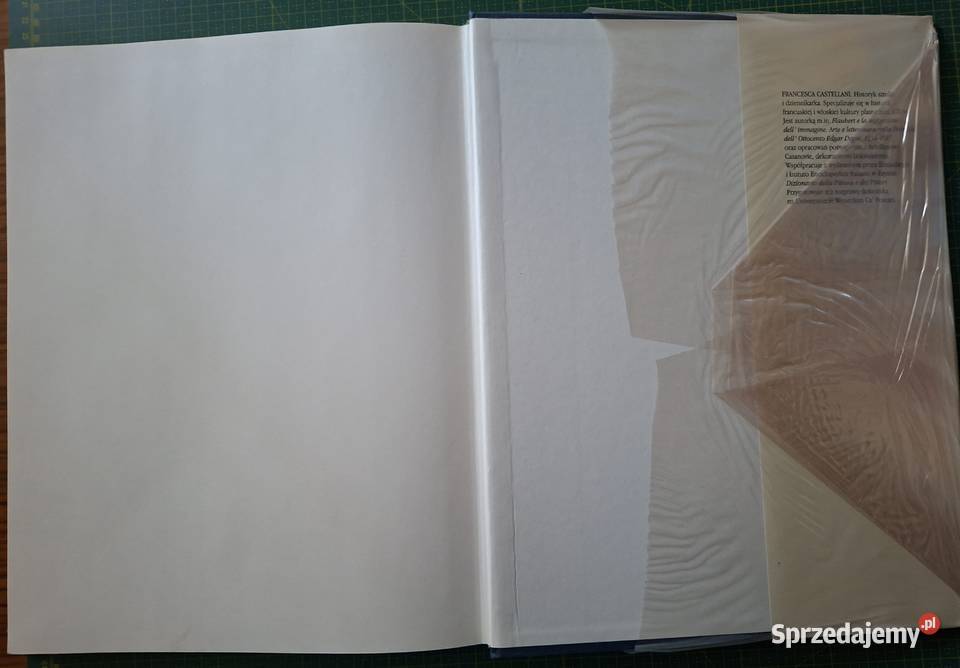 Życie i twórczość PierreAuguste Renoir Arkady Rok wydania 1996